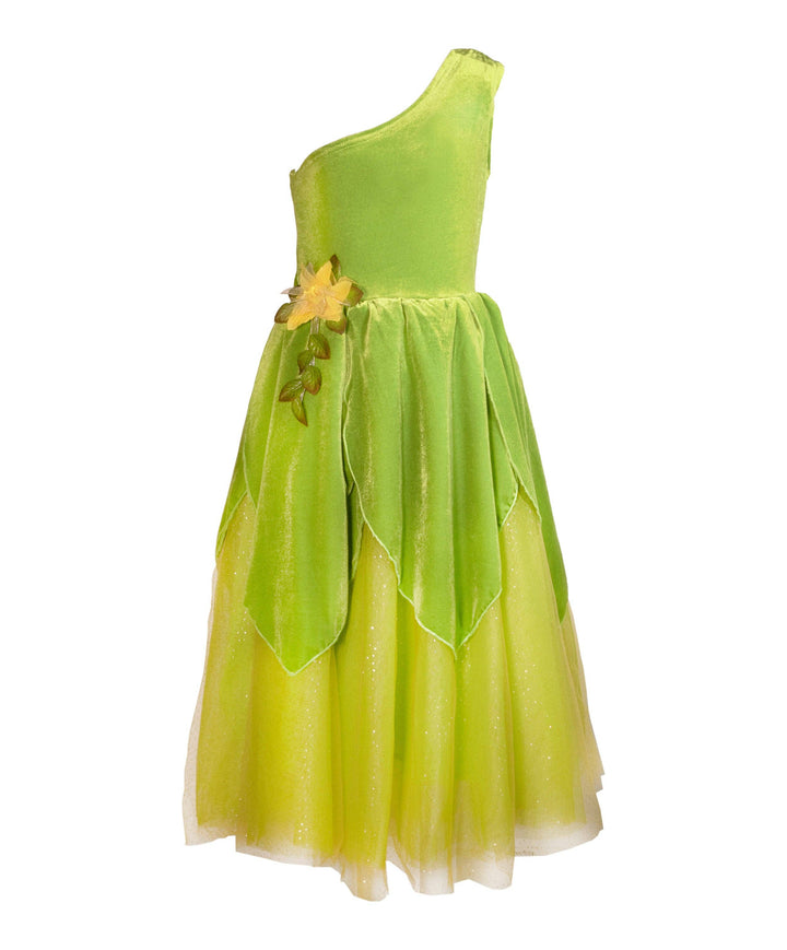 Tinker Fairy  dress