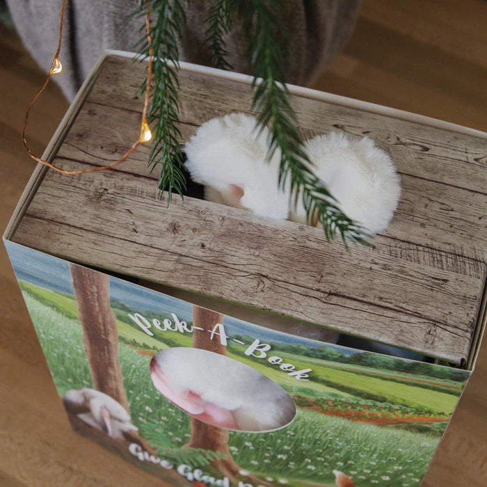 Blossom's Hide and Seek Book & Plush Boxed Set