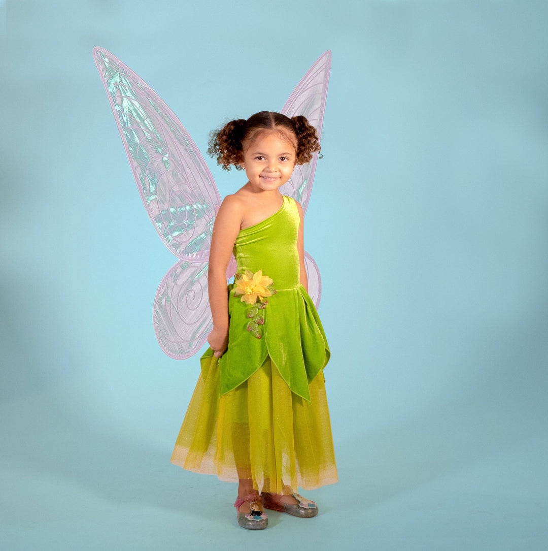 Tinker Fairy  dress